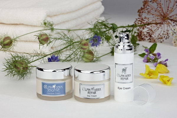 Рождественские  скидки! - PR